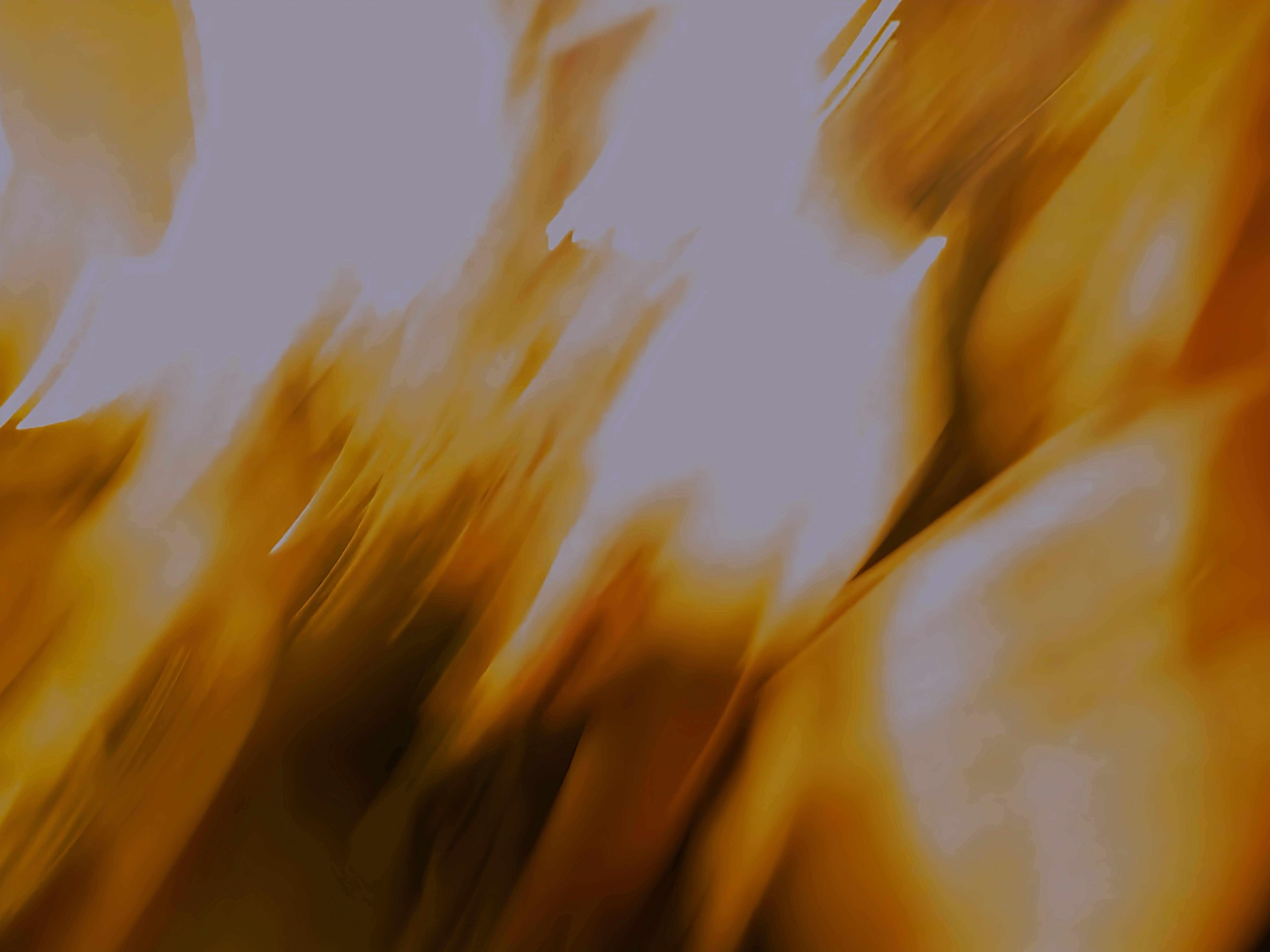 Ev Fotoğrafı